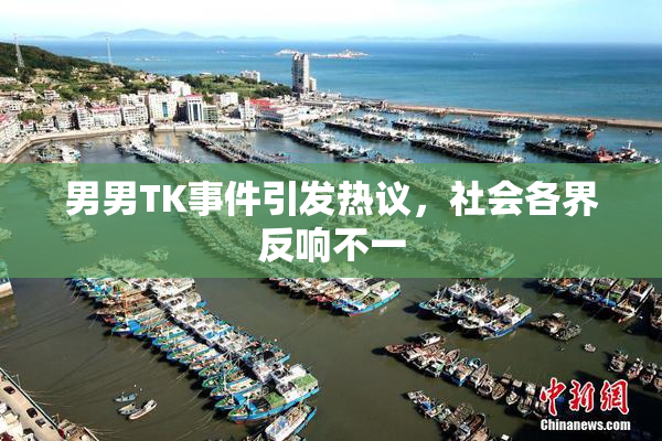 男男TK事件引发热议，社会各界反响不一