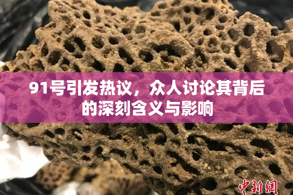 91号引发热议，众人讨论其背后的深刻含义与影响