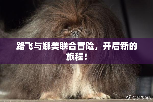 路飞与娜美联合冒险，开启新的旅程！