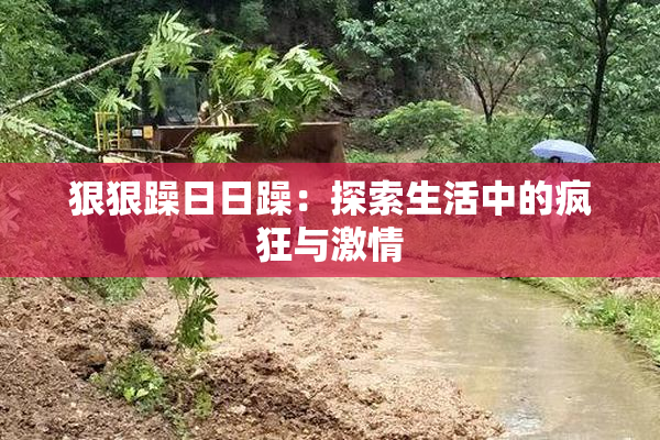 狠狠躁日日躁：探索生活中的疯狂与激情