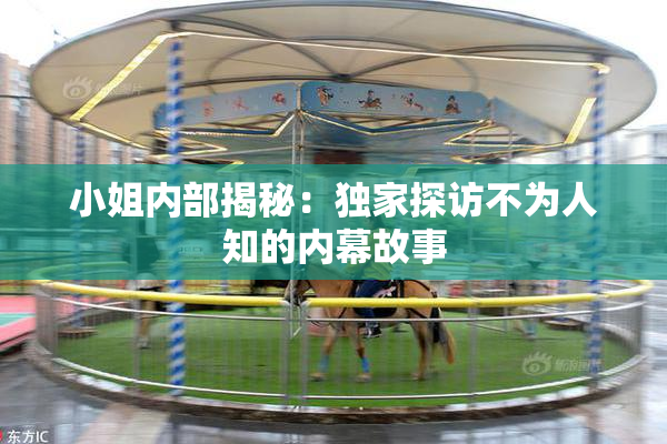 小姐内部揭秘：独家探访不为人知的内幕故事