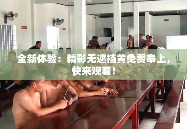 全新体验：精彩无遮挡黄免费奉上，快来观看！