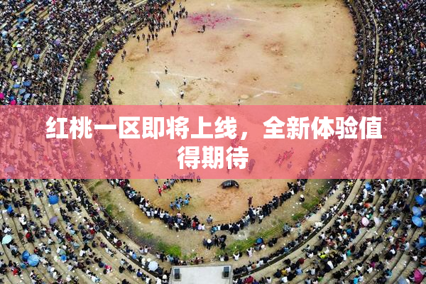 红桃一区即将上线，全新体验值得期待