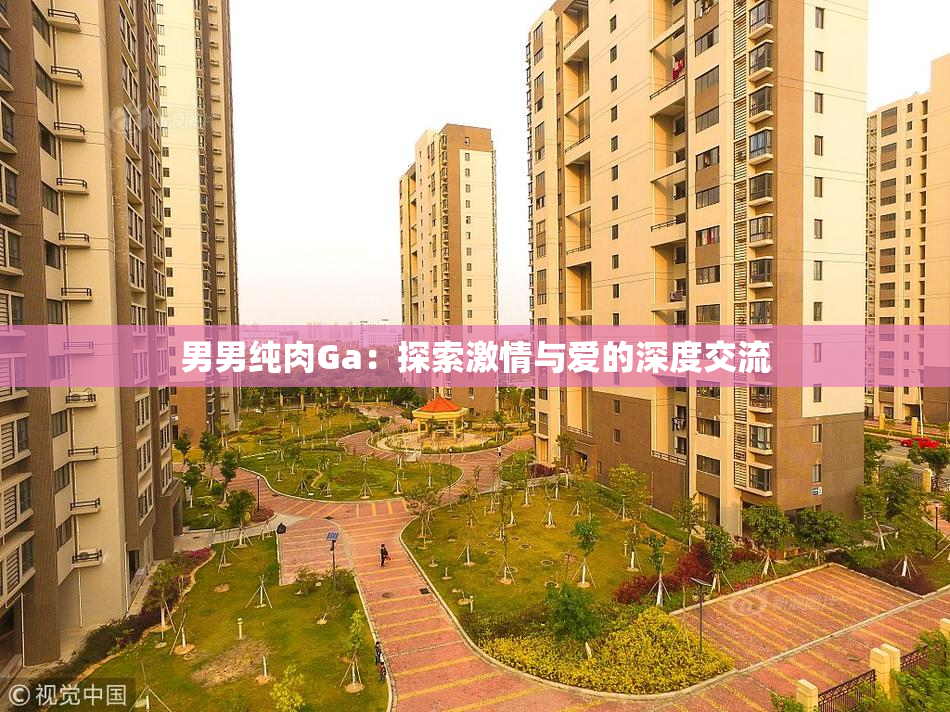 男男纯肉Ga：探索激情与爱的深度交流