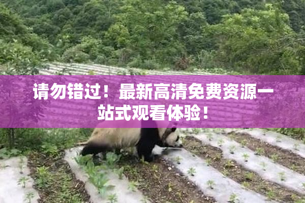 请勿错过！最新高清免费资源一站式观看体验！