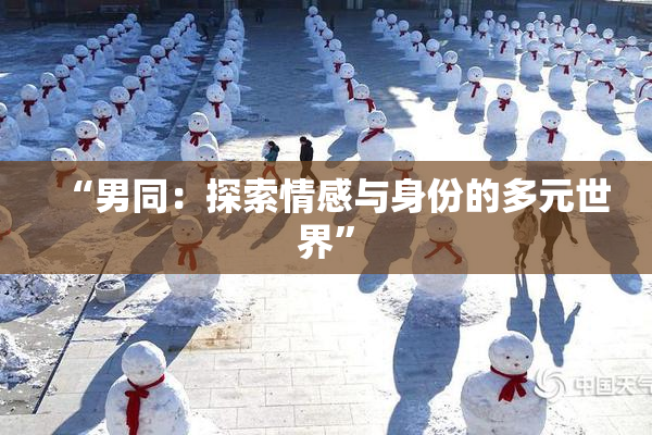 “男同：探索情感与身份的多元世界”
