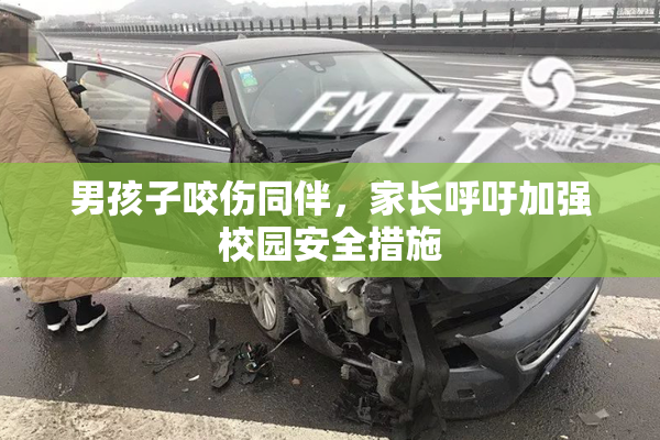 男孩子咬伤同伴，家长呼吁加强校园安全措施