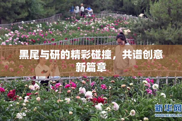 黑尾与研的精彩碰撞，共谱创意新篇章
