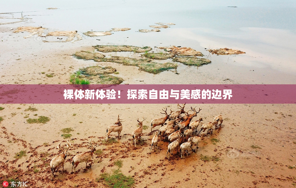裸体新体验！探索自由与美感的边界