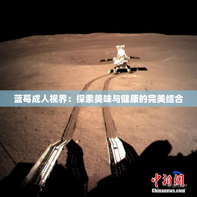 蓝莓成人视界：探索美味与健康的完美结合