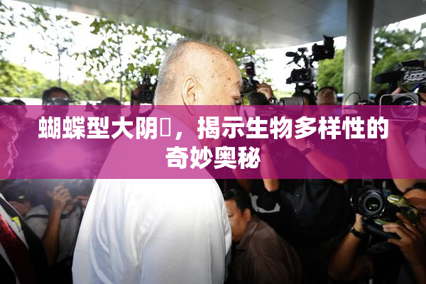 蝴蝶型大阴脣，揭示生物多样性的奇妙奥秘