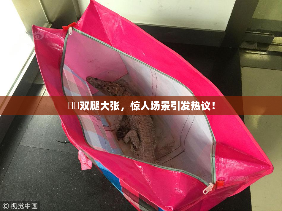 妺妺双腿大张，惊人场景引发热议！