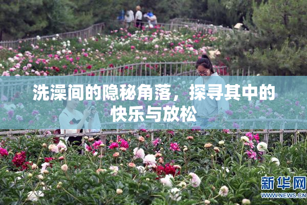 洗澡间的隐秘角落，探寻其中的快乐与放松