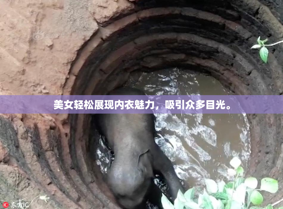 美女轻松展现内衣魅力，吸引众多目光。