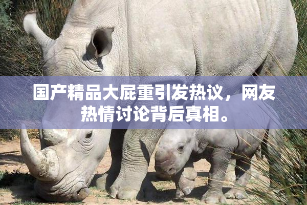 国产精品大屁重引发热议，网友热情讨论背后真相。