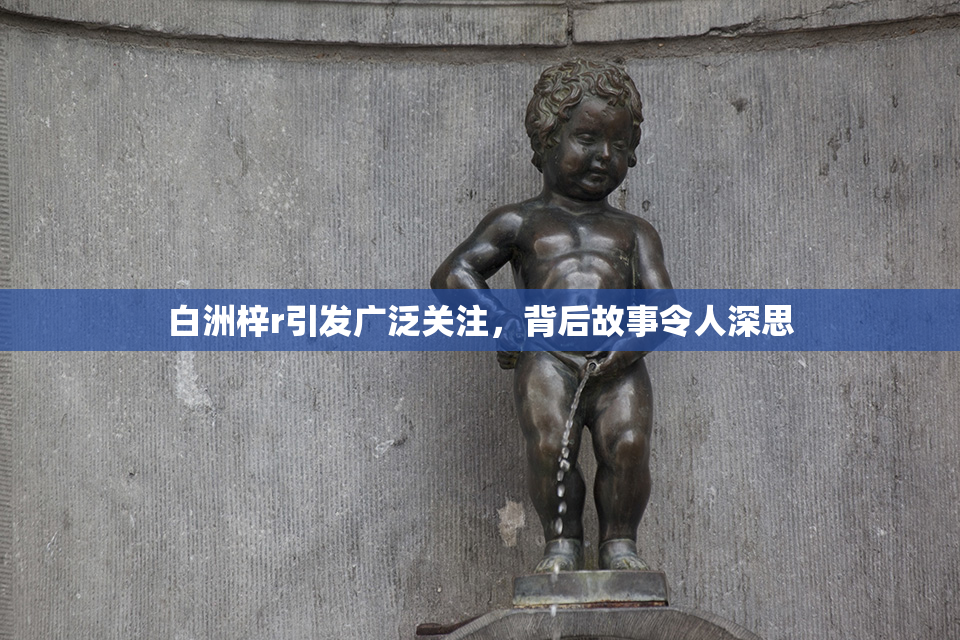 白洲梓r引发广泛关注，背后故事令人深思