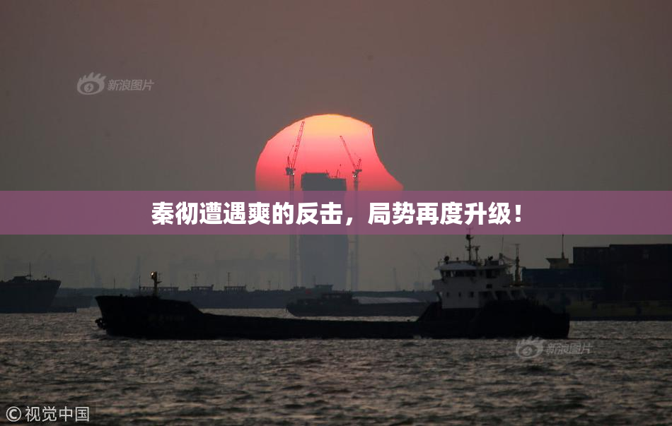 秦彻遭遇爽的反击，局势再度升级！