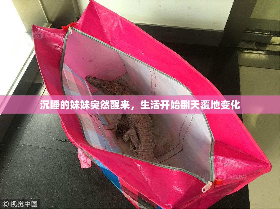 沉睡的妹妹突然醒来，生活开始翻天覆地变化