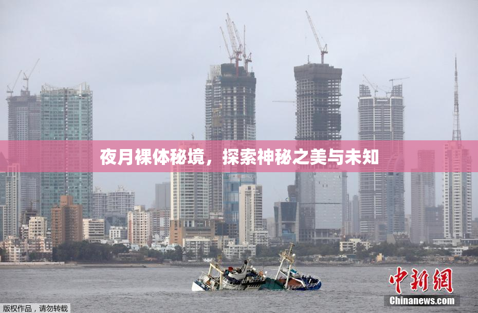 夜月裸体秘境，探索神秘之美与未知