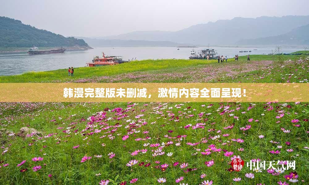 韩漫完整版未删减，激情内容全面呈现！