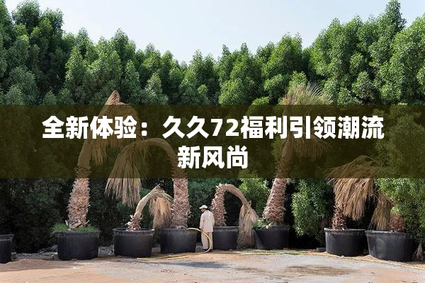 全新体验：久久72福利引领潮流新风尚