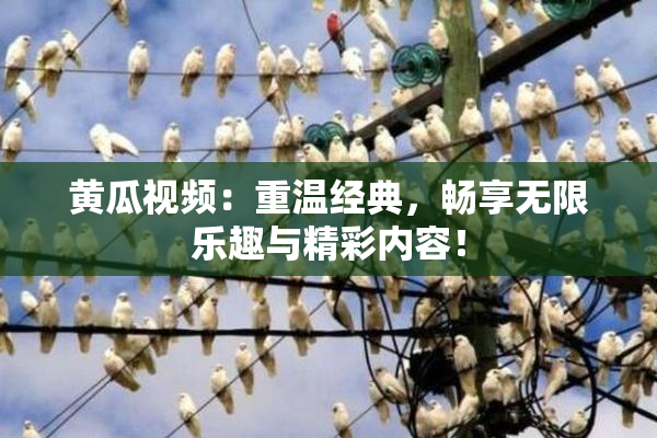 黄瓜视频：重温经典，畅享无限乐趣与精彩内容！