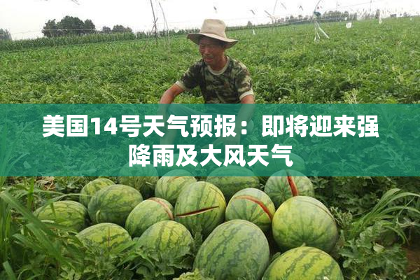 美国14号天气预报：即将迎来强降雨及大风天气