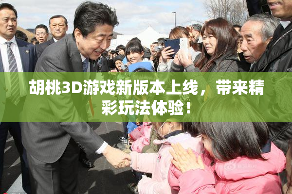 胡桃3D游戏新版本上线，带来精彩玩法体验！