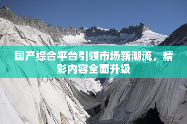 国产综合平台引领市场新潮流，精彩内容全面升级