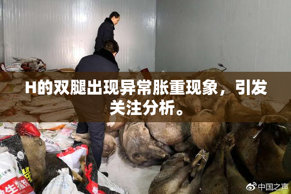 H的双腿出现异常胀重现象，引发关注分析。