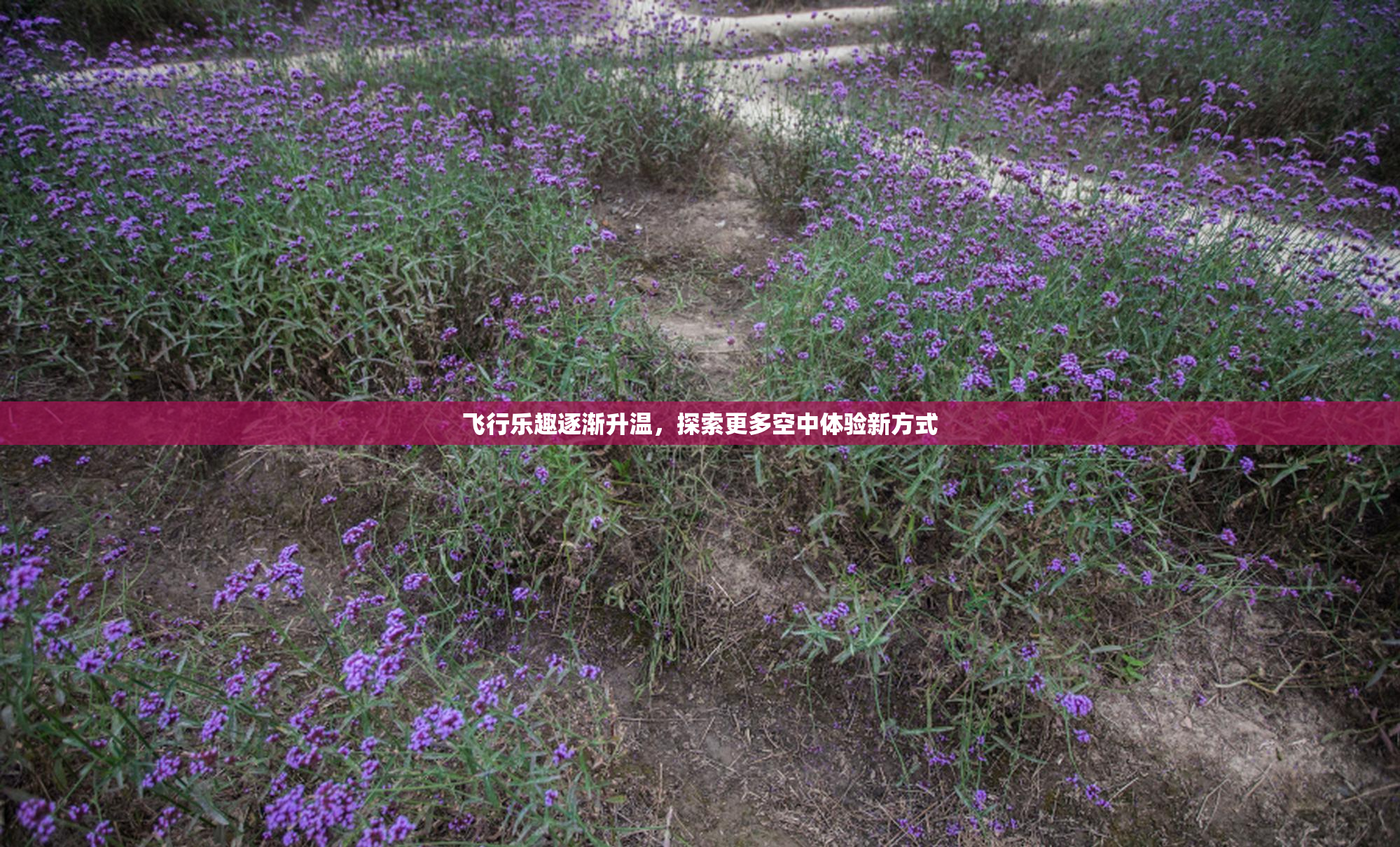 飞行乐趣逐渐升温，探索更多空中体验新方式