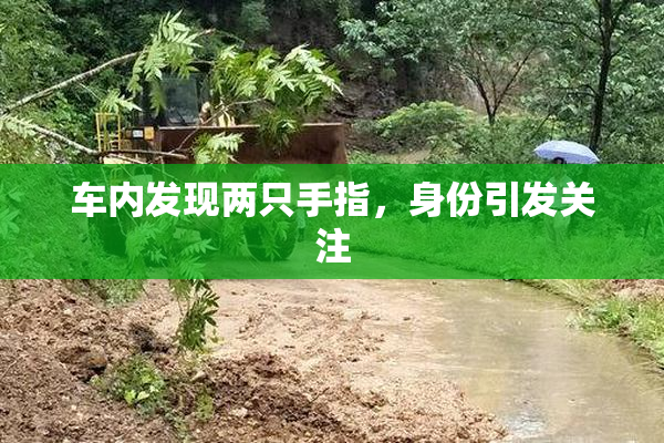 车内发现两只手指，身份引发关注