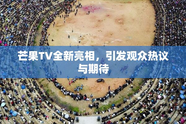 芒果TV全新亮相，引发观众热议与期待