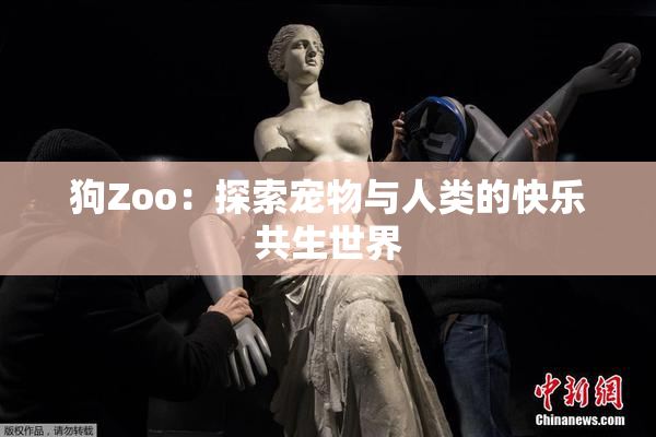 狗Zoo：探索宠物与人类的快乐共生世界