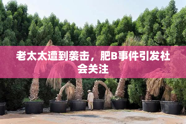 老太太遭到袭击，肥B事件引发社会关注