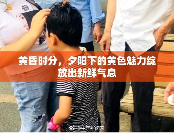 黄昏时分，夕阳下的黄色魅力绽放出新鲜气息