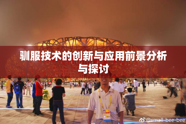 驯服技术的创新与应用前景分析与探讨
