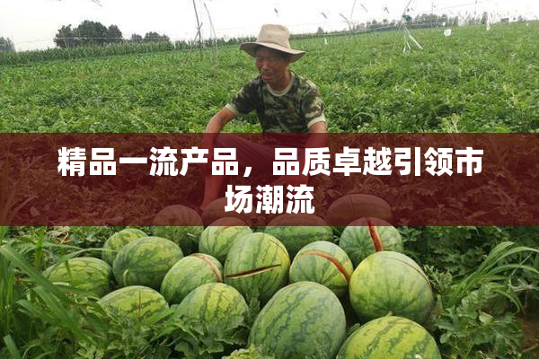 精品一流产品，品质卓越引领市场潮流