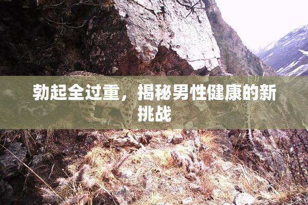 勃起全过重，揭秘男性健康的新挑战