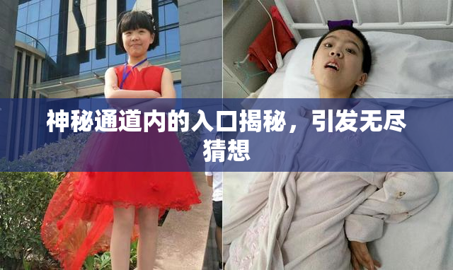 神秘通道内的入口揭秘，引发无尽猜想