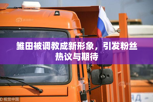雏田被调教成新形象，引发粉丝热议与期待