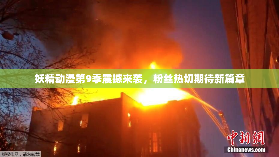 妖精动漫第9季震撼来袭，粉丝热切期待新篇章
