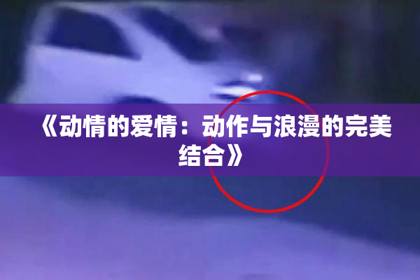 《动情的爱情：动作与浪漫的完美结合》