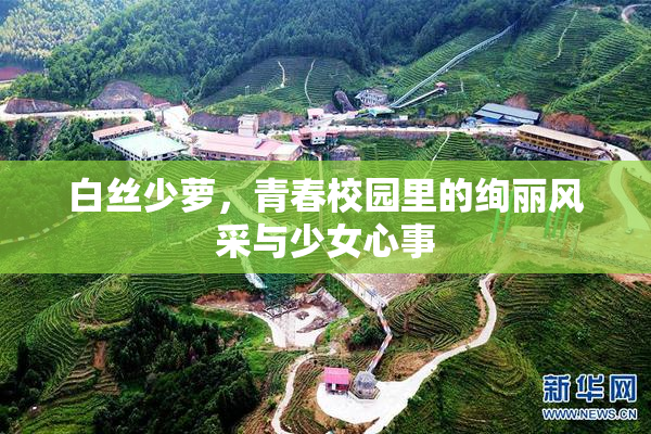 白丝少萝，青春校园里的绚丽风采与少女心事