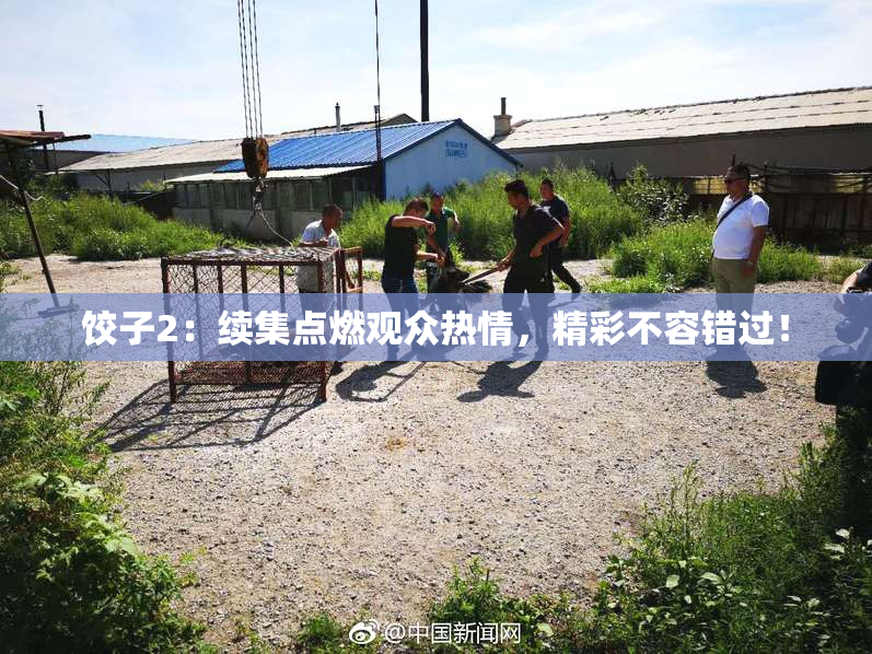 饺子2：续集点燃观众热情，精彩不容错过！
