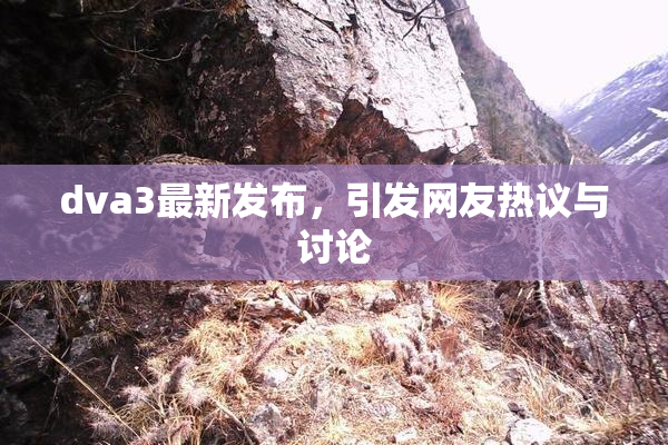 dva3最新发布，引发网友热议与讨论