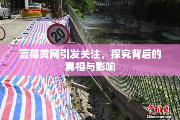 蓝莓黄网引发关注，探究背后的真相与影响