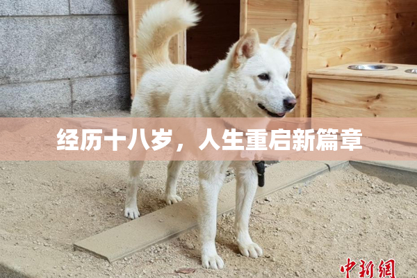 经历十八岁，人生重启新篇章