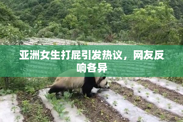 亚洲女生打屁引发热议，网友反响各异