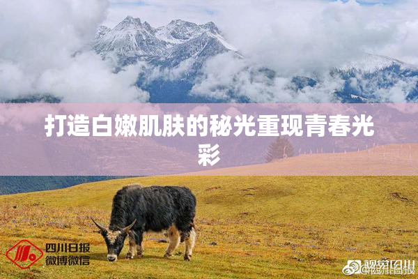 打造白嫩肌肤的秘光重现青春光彩